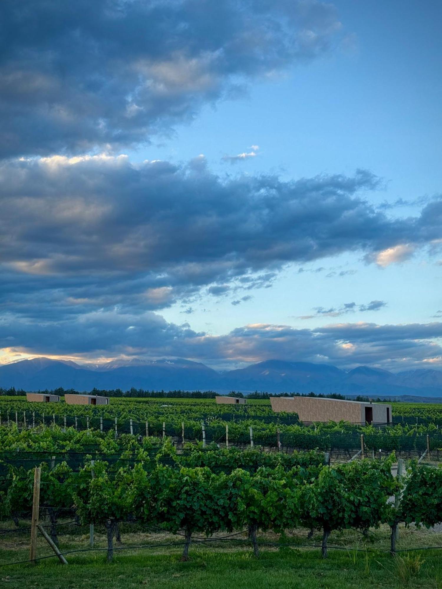 Andeluna Winery Lodge Tupungato Εξωτερικό φωτογραφία