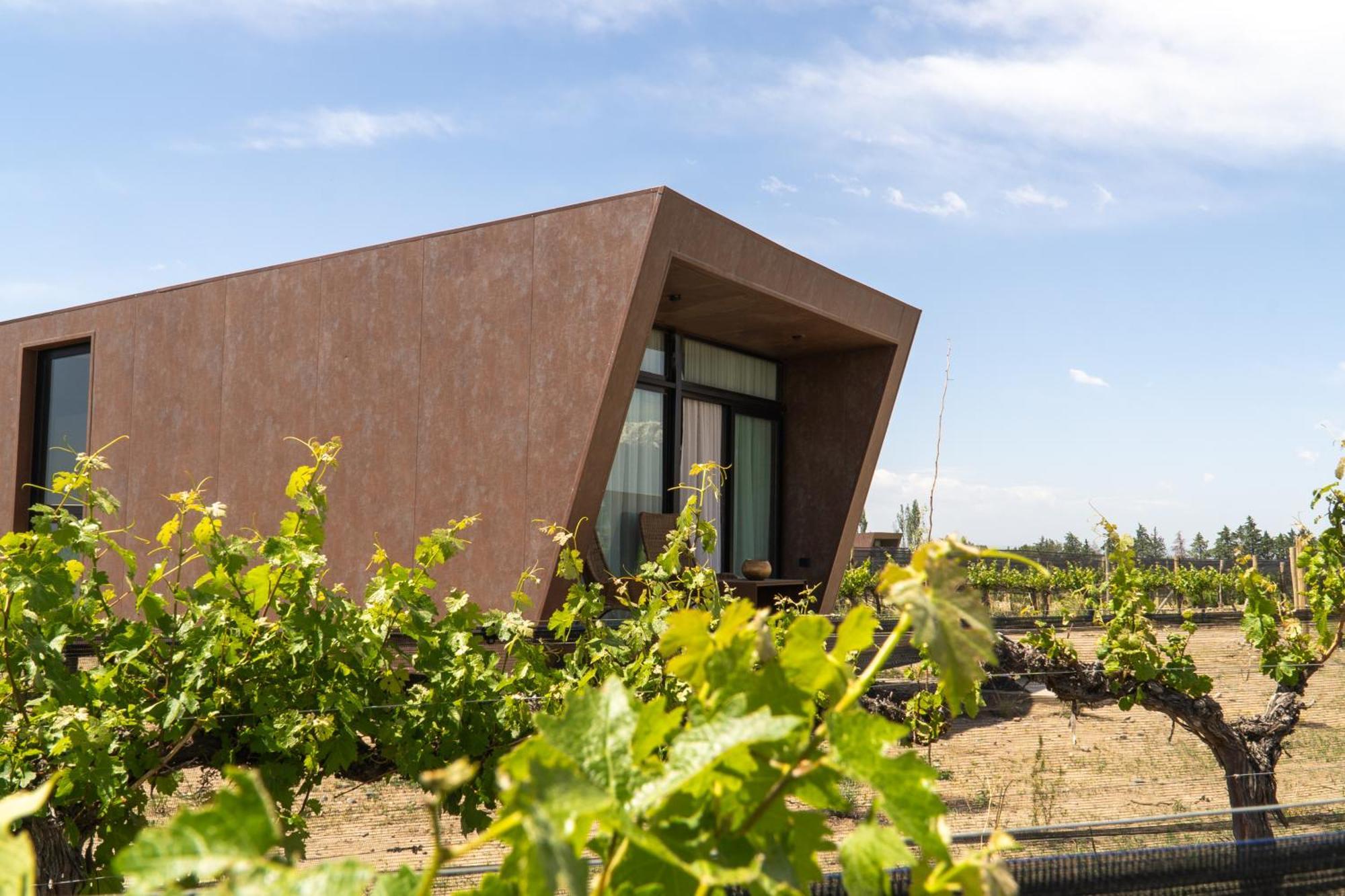 Andeluna Winery Lodge Tupungato Εξωτερικό φωτογραφία